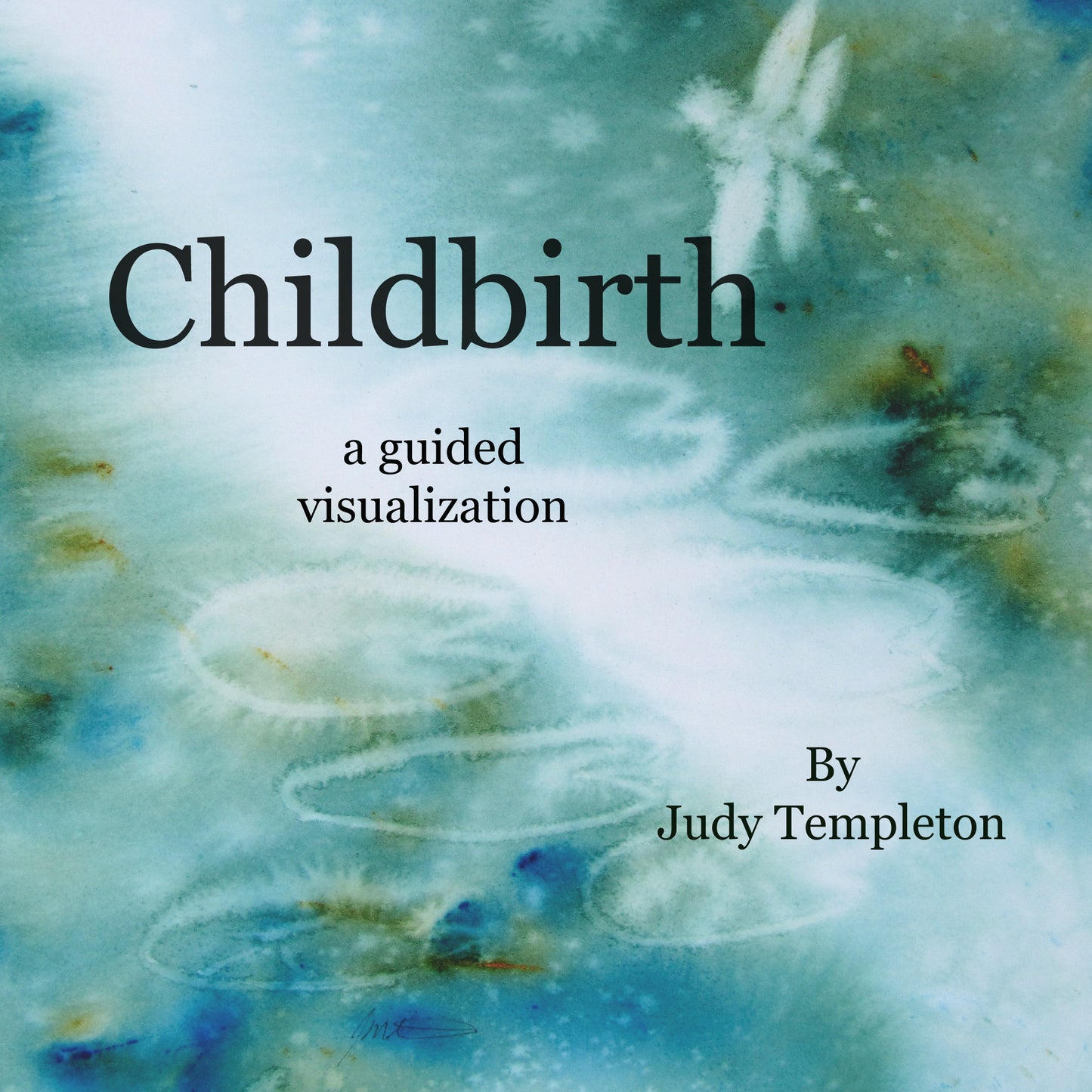 Childbirth a Guided Visulization